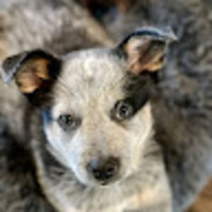 Meet your Posher, Marc